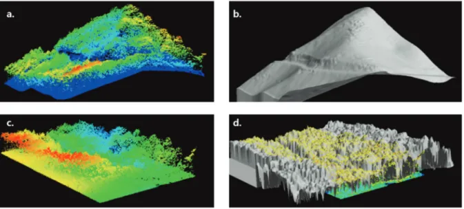 Fig. 3.  Developed forest stand height estimation model using LiDAR(a. forest crown cloud points b