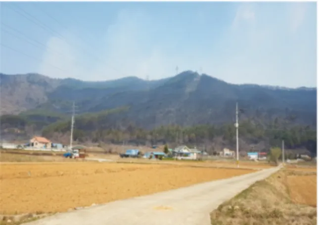 Fig. 6.  Comparison of the changes of tree mortality by the time series in Goseong and Gangneung.