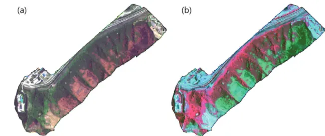 Fig. 6.  Examples of the UAV image (natural color composite) by forest burn severity: (a) burned crown, (b) boiled crown, (c) burned surface, (d) unburned pine, (e) unburned deciduous.