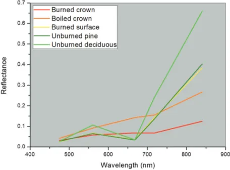 Fig. 7.  Spectral reflectance curves from mean of collected training samples from RedEdge image (Shin et al., 2019).
