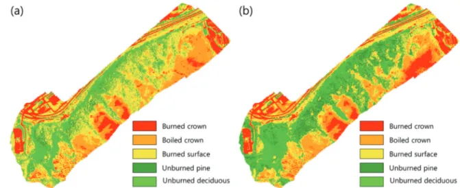 Fig. 8.  Burn severity classification results of RedEdge UAV image using (a) MLH and (b) SAM classifiers.
