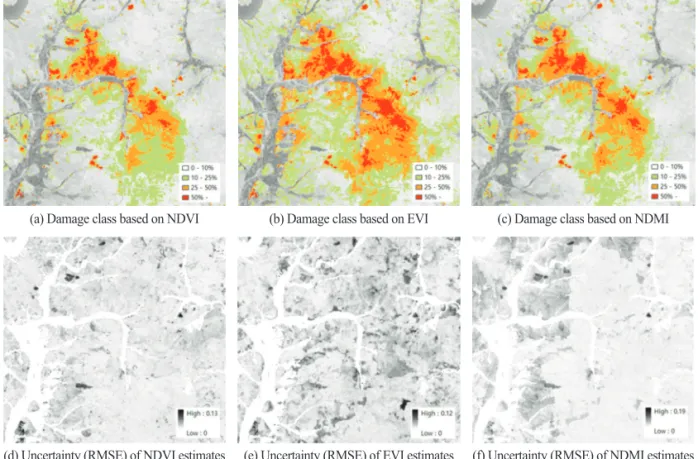 Fig. 8.  Forest damage class mapping using change analysis of vegetation index.