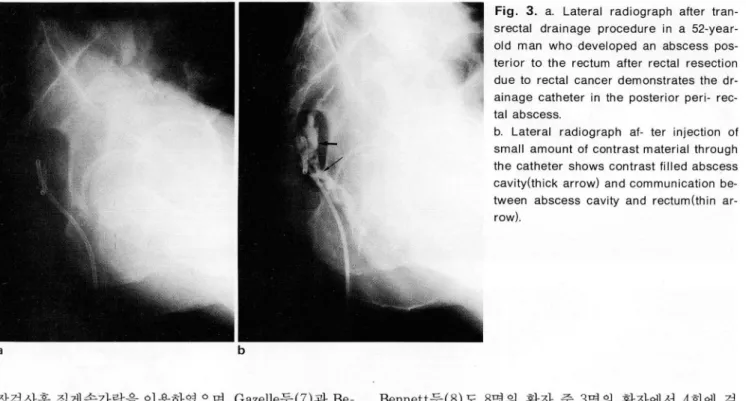 Fig.  3.  a.  Lateral  radiograph  after  tran- tran-srectal  drainage  procedure  in  a  