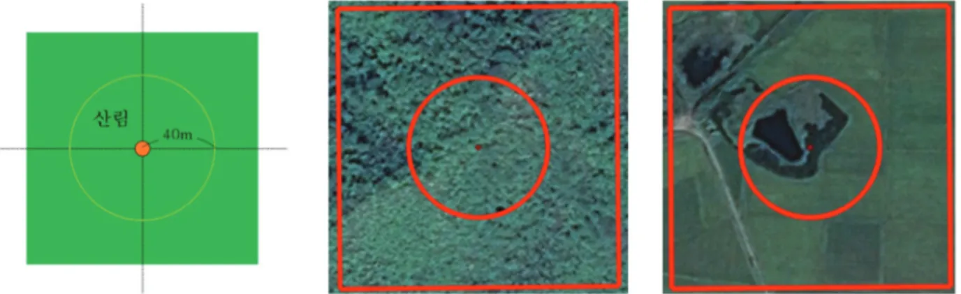 Fig. 4.  The permanent sample plots (Sample, Forest and Non-Forest).