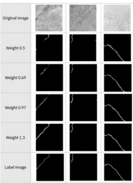Fig.  12.  Crack  visualization  by  Weight (Learning  with  ReLU  Function)