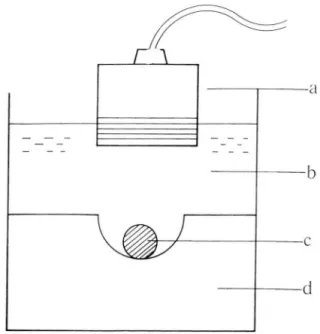 Fig.  2.  Exper imental  model  for  ultrasonography  a :  tran sduce r 