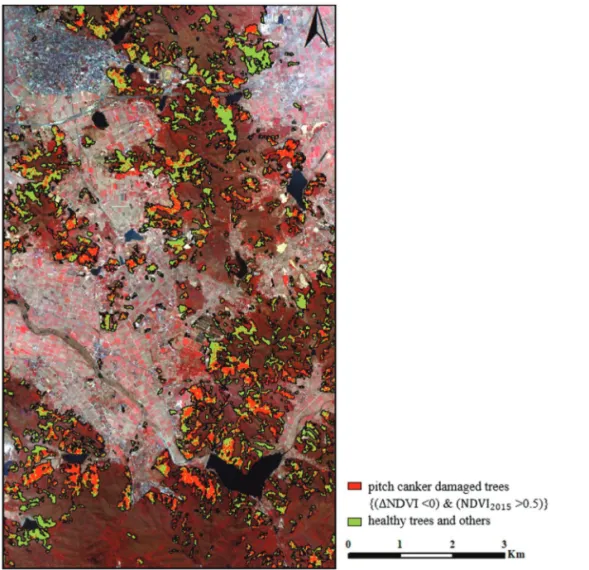 Fig. 5.  KOMPSAT high-resolution multispectral images obtained on March 15, 2015 and the distribution of potential sites of pitch canker damage detected by ΔNDVI and NDVI 2015 .