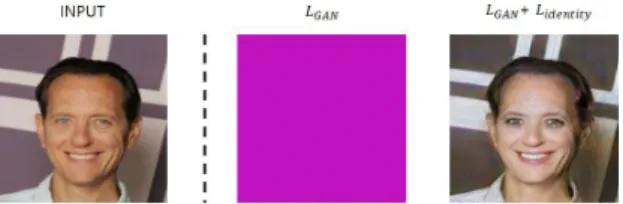 Fig. 2. Difference In Use Of Identity Loss In Interim Results