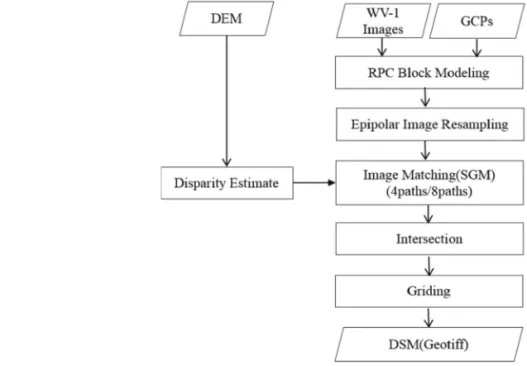 Fig. 2.  Workflow for DSM generation.