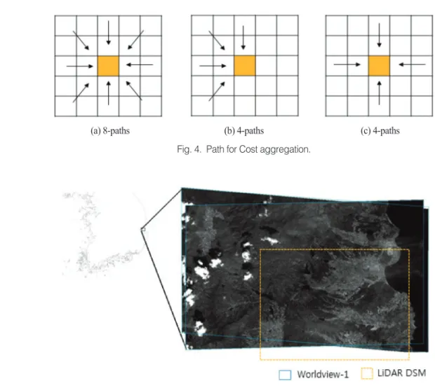 Fig. 5.  Worldview-1 Stereo Images.