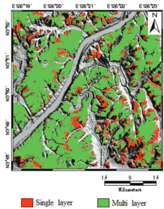 Fig. 7.  Probability map of forest vertical structure via ANN
