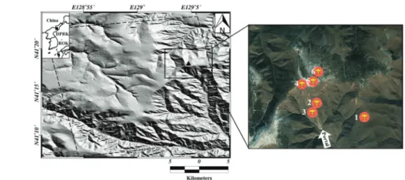 Table 1.  Characteristics of SAR and Optical imagery