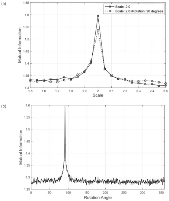 Fig. 10.  Illustration of the detection of scale factor and rotation angle. (a) Detection of the scale factor for the coarse scale image in the case of the scaling factor 2.0