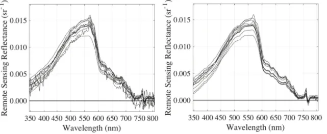 Fig. 4.  HyperSAS Remote Sensing Reflectance data filtering: before (Left) and after (Right).