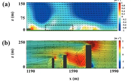Fig. 7.  (a) Wind vectors and contours of the vertical wind components on the cross section along AB — in Fig