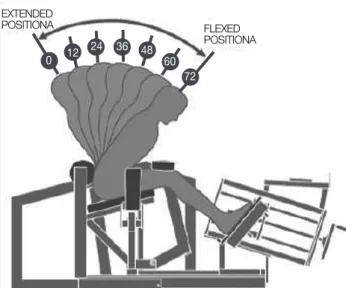 Fig. 1. Restraining mechanism of the Medx lumbar extension machine.