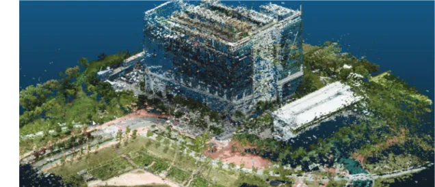 Fig. 11.  The extracted point cloud with RGB value (Phantom4).