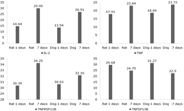 Fig. 6. This graphs show the factors related with apoptosis. Also, there was no significant differences after spinal cord injury(p>0.05)