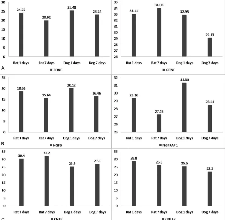Fig. 7. This graphs show the changes of several neurotrophic factors. (A) GDNF was reduced more, statistically in dogs(p<0.05)