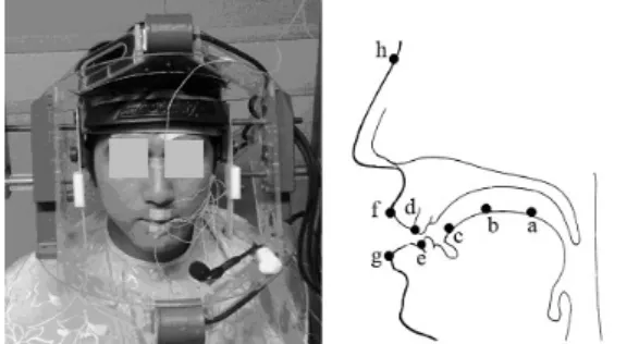 Figure 1. Locations of pellets: (a) the tongue dorsum; (b) the  tongue midsection; (c) the tongue tip; (d-e) the maxillary (upper)  and mandibular (lower) central incisors; (f-g) the upper and lower 