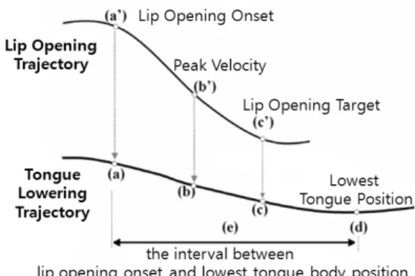 Figure 3. Schematized vertical tongue body movement trajectory  with measurement points in alignment with articulatory landmarks  of the lip opening movement