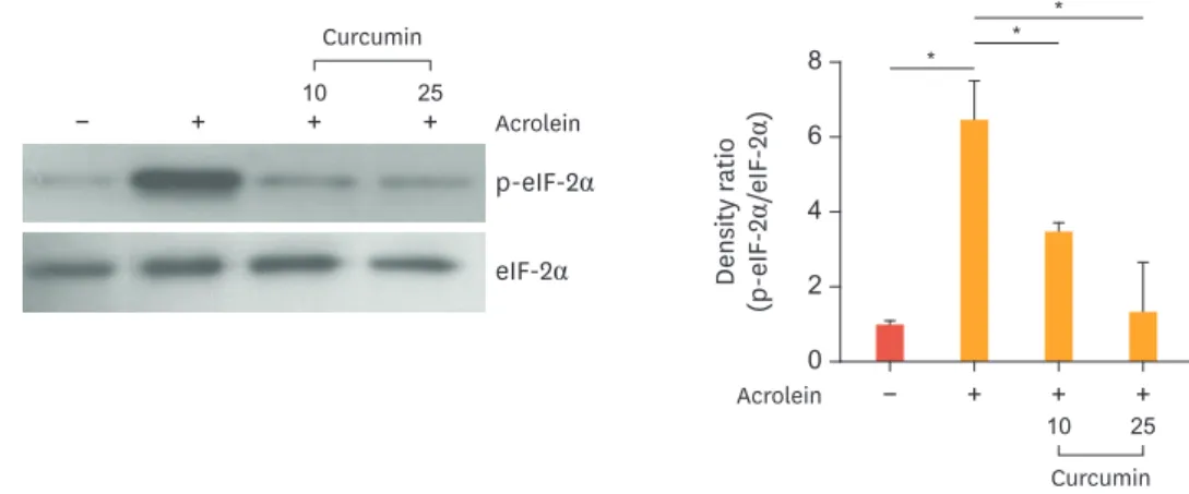 Fig. 5. Effects of curcumin on acrolein-induced phosphorylation of eIF-2α in HUVECs. 
