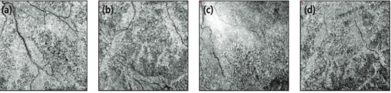 Fig. 4.  KOMPSAT-3A images used in this study, (a) Scene-1, (b) Scene-2, (c) Scene-3, (d) scene-4.
