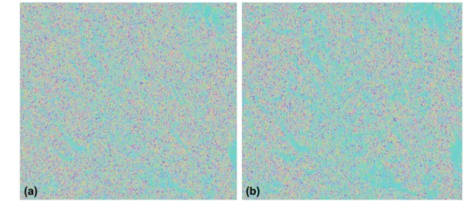 Fig. 5.  Differential interferomgram (a) based on the 1-look forward/backward interferogram, and (b) based on the 10×2 look forward/backward interferogram.