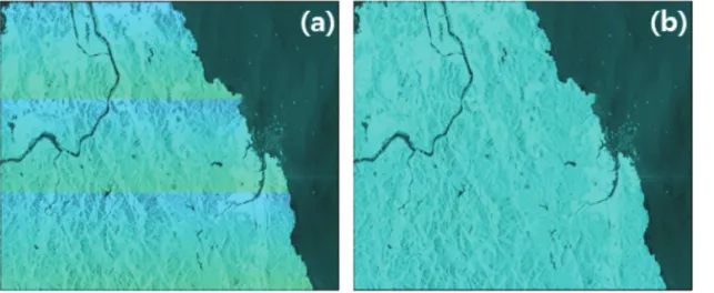 Fig. 11.  Difference phase image of (a) between ESD interferogram and cross-correlation interferogram, (b) between ESD interferogram and geometric interferogram.
