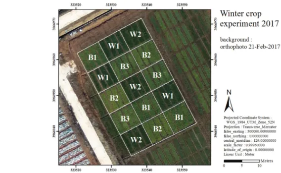 Fig. 1.  Split plot design for the experiments with two species and five varieties. The ‘B’ letter indicates Barley, while ‘W’ letter indicates Wheat