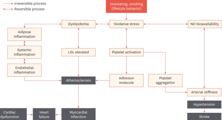 Fig. 1. Main process and events involved in phenotypic flexibility of atherothrombosis.NO; nitric oxide, LDL; low-density lipoprotein.