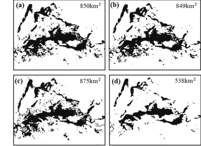 Fig. 7.  Pattern of spectral mixture between turbid water and vegetation. (a) vegetation canopy exposed over flooding water, (b) flooding water and non-flooded vegetation and wet soil.