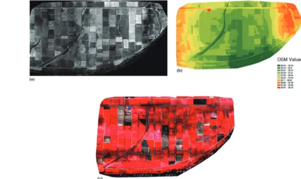 Fig. 3.  (a) Mosaicked NIR image (b) Digital Surface Model (DSM) and (c) CIR image of the study area.