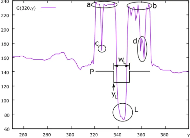 Fig.  3.  Grey  level  representation  of  the  pixels  in  the  rectangular  area  in  Fig