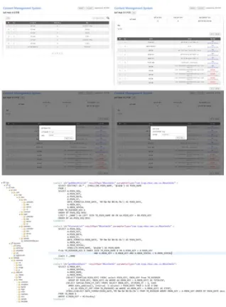 Fig  6.  Management  Server  &amp;  Development  Display