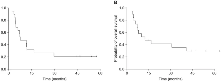 Fig. 1.  Kaplan-Meier  curves  of  (A)  progression-free  survival  and  (B)  overall  survival  in  19  patients  with  limited  disease  small  cell  lung  cancer  (LD-SCLC)  treated  with  irinotecan  plus  cisplatin  chemotherapy  with  concurrent  tho