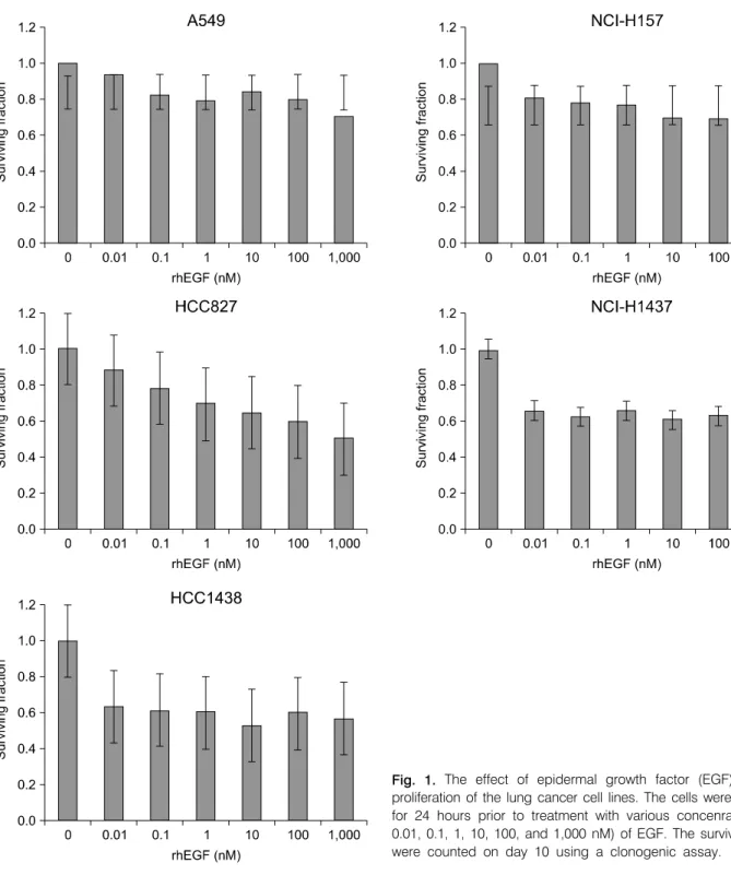 Fig. 1.  The  effect  of  epidermal  growth  factor  (EGF)  on  the  proliferation  of  the  lung  cancer  cell  lines