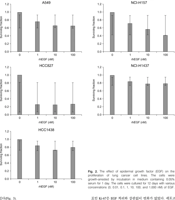 Fig. 2.  The  effect  of  epidermal  growth  factor  (EGF)  on  the  proliferation  of  lung  cancer  cell  lines