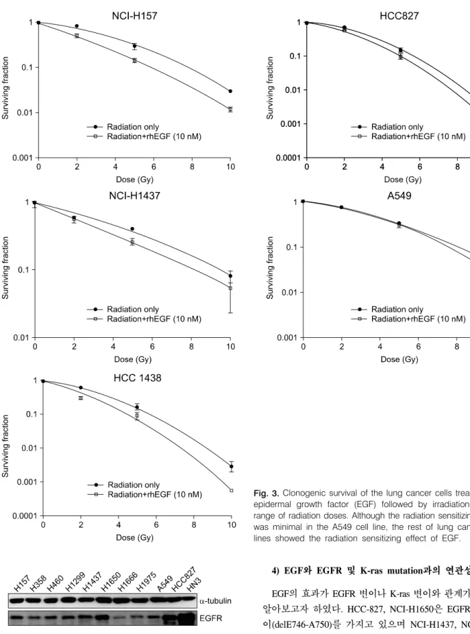 Fig. 4.  Expression  of  epidermal  growth  factor  receptor  (EGFR)  in  various  cancer  cell  lines.