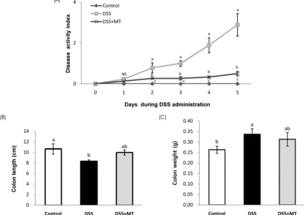 Fig. 1. Effects of MT on disease activity index, colon length and colon weight. (A) Disease activity index was measured daily during DSS  administration