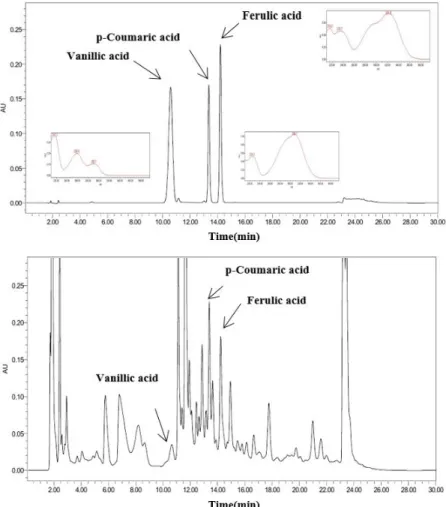 Fig. 5. HPLC analyses of water extract of barley sprout. Identification of active compounds in barely sprout by HPLC