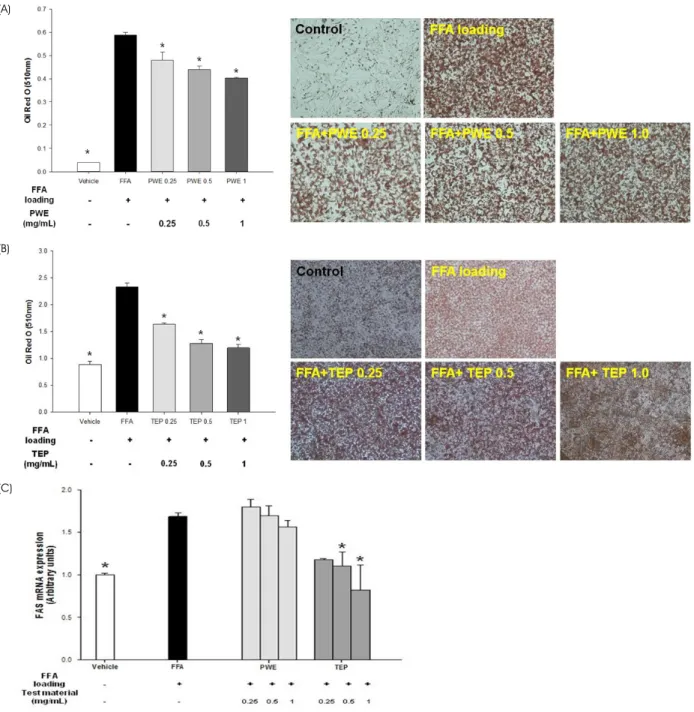 Fig 2. Effects of PWE and TEP on intracellular lipid accumulation (A and B, respectively) and FAS gene expression (C) in HepG2 cells  stimulated by free fatty acids (0.66 mM oleic acid + 0.33 mM palmitic acid)