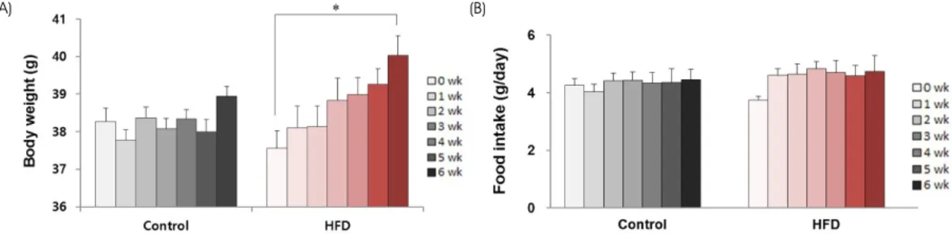 Fig. 1. Changes in body weights and food intake after a high-fat diet. The body weights (A) and the amount of food intake (B) of CD1  mice were measured for 6 weeks of normal (Control) or a high-fat diet (HFD)