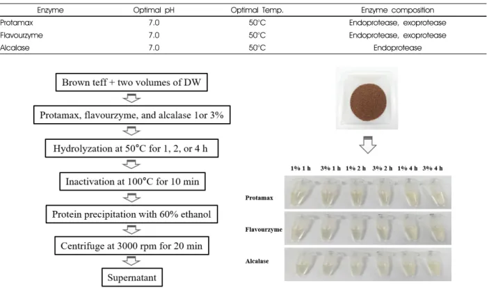 Fig. 1. The process used for brown teff hydrolysis under different conditions