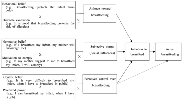 Fig. 1. Research model (Actual breastfeeding was not measured in this study.)