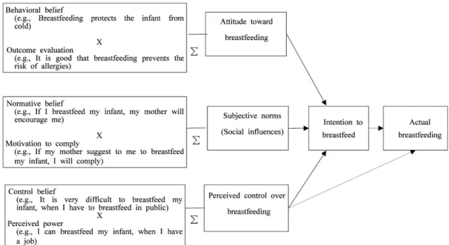 Fig. 1. Research model (Actual breastfeeding was not measured in this study.)