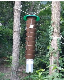 Fig.  1.  Pheromone  trap  for  pine-wilt  disease  control[2]
