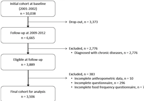 Fig. 1. Flow diagram of participant selection for analysis