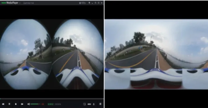 Fig.  2.  Image  extraction  and  ERP