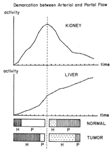 Fig.  1.  Selection  of A.O. I.  by  Ii ght  pencil  at  different  phase. 